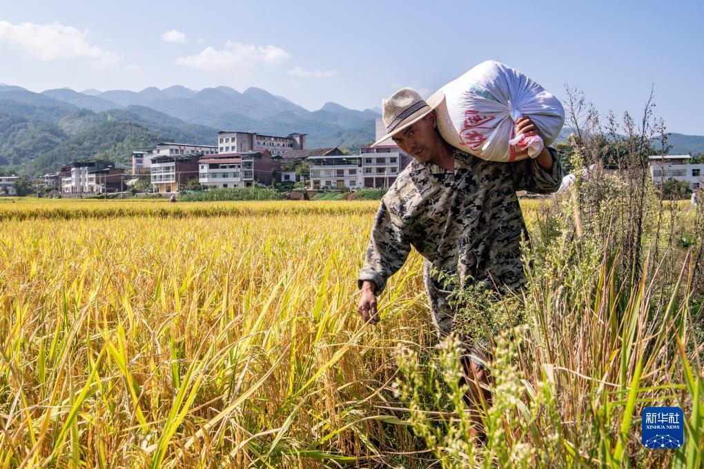 大玩家应用。